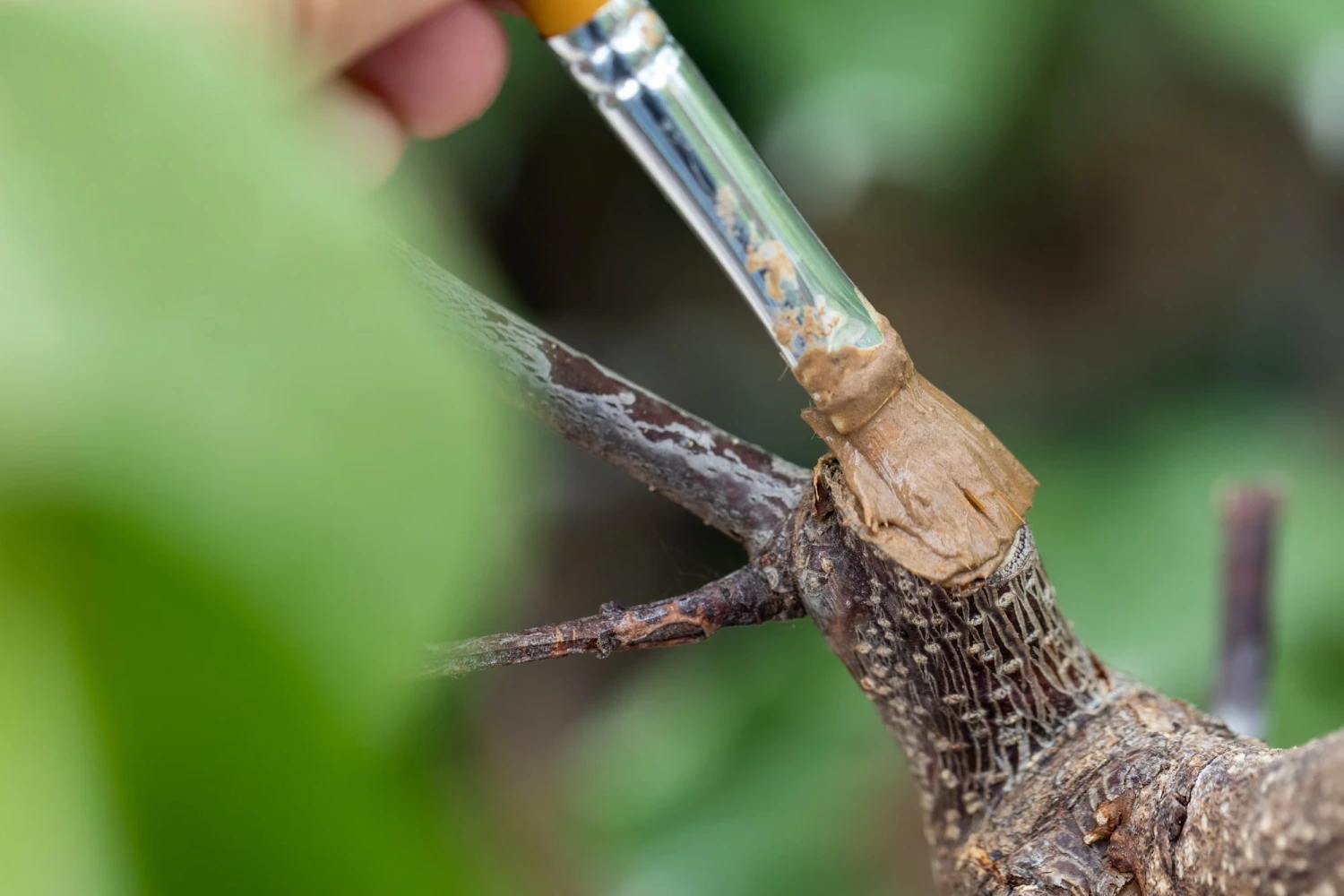 Wundschutzlehm, 600 G – Bild 2