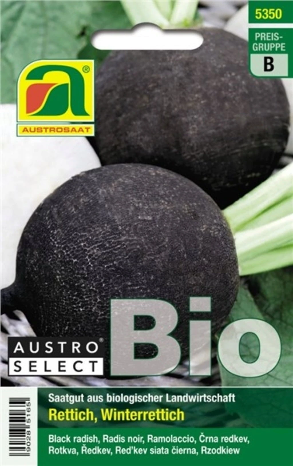 Bio Rettich "Wiener Runder Kohlschwarzer"