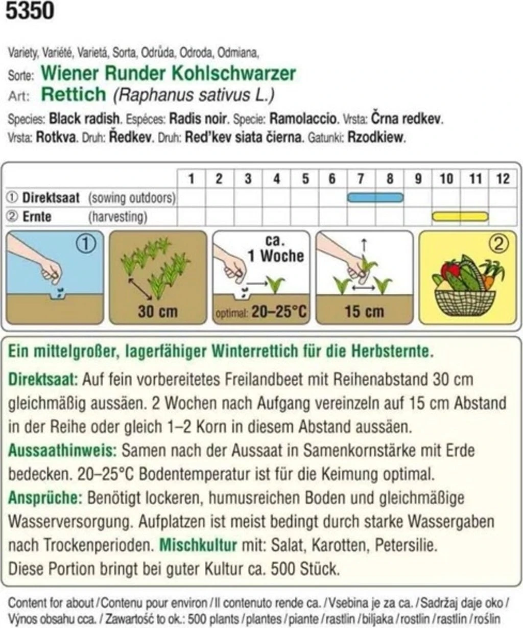 Bio Rettich "Wiener Runder Kohlschwarzer" – Bild 2