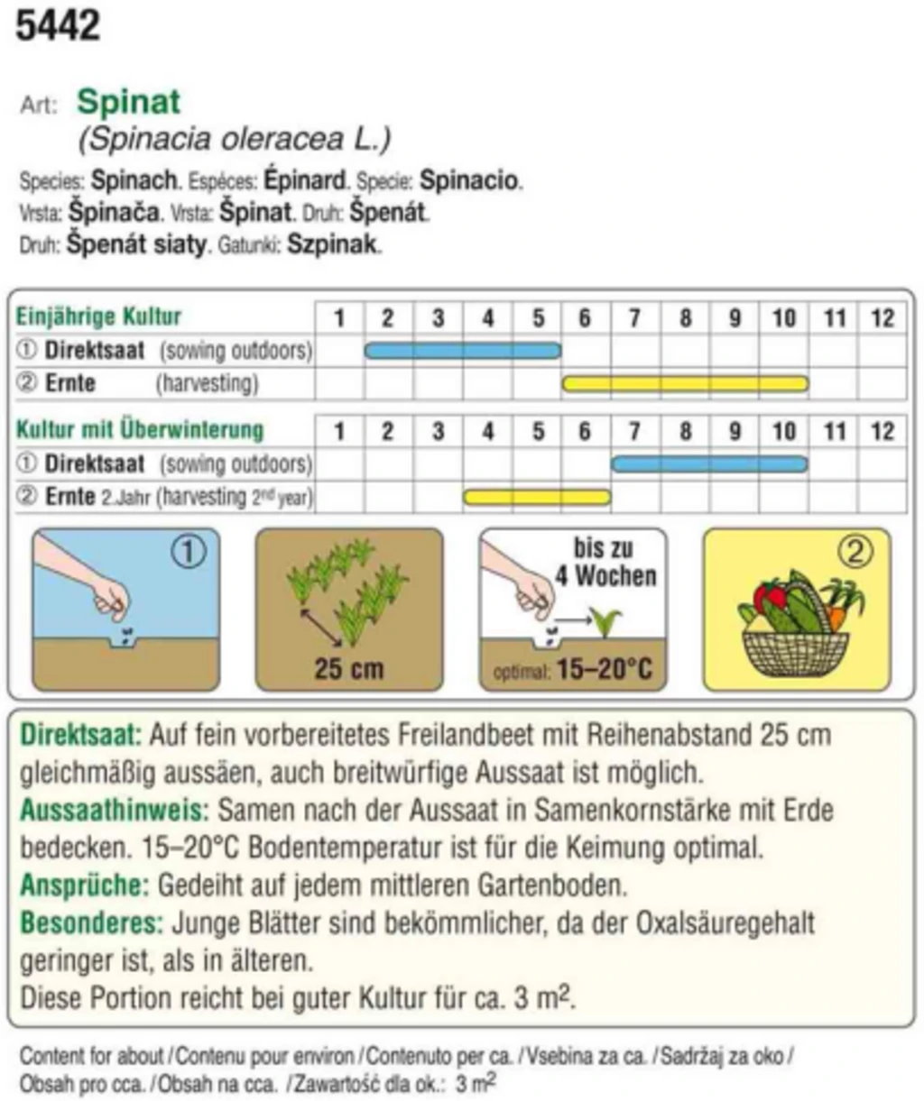 Bio Spinat "Matador" – Bild 2