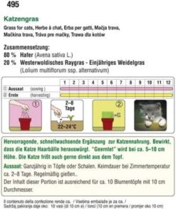 Katzengras
