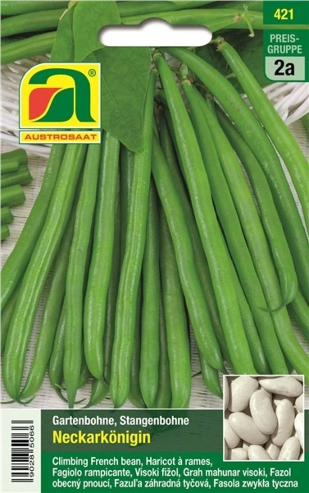 Stangenbohne "Neckarkönigin" – Bild 2