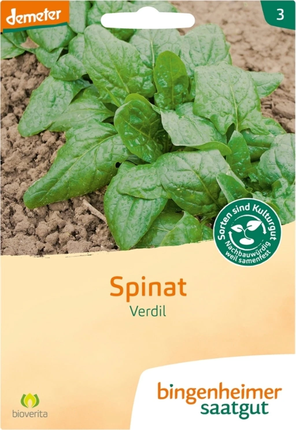 Spinat "Winterriesen/Verdil" – Bild 2