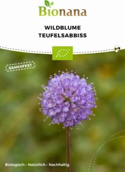 Bio Wildblume Teufelsabbiss