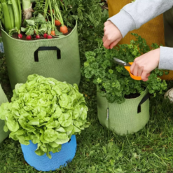 Pflanztasche Aus Geotextil ∅ 30 Cm, Grün