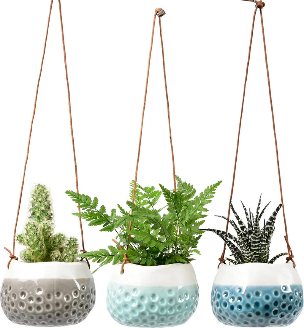 Hängetopf-Set "Baby Dotty"