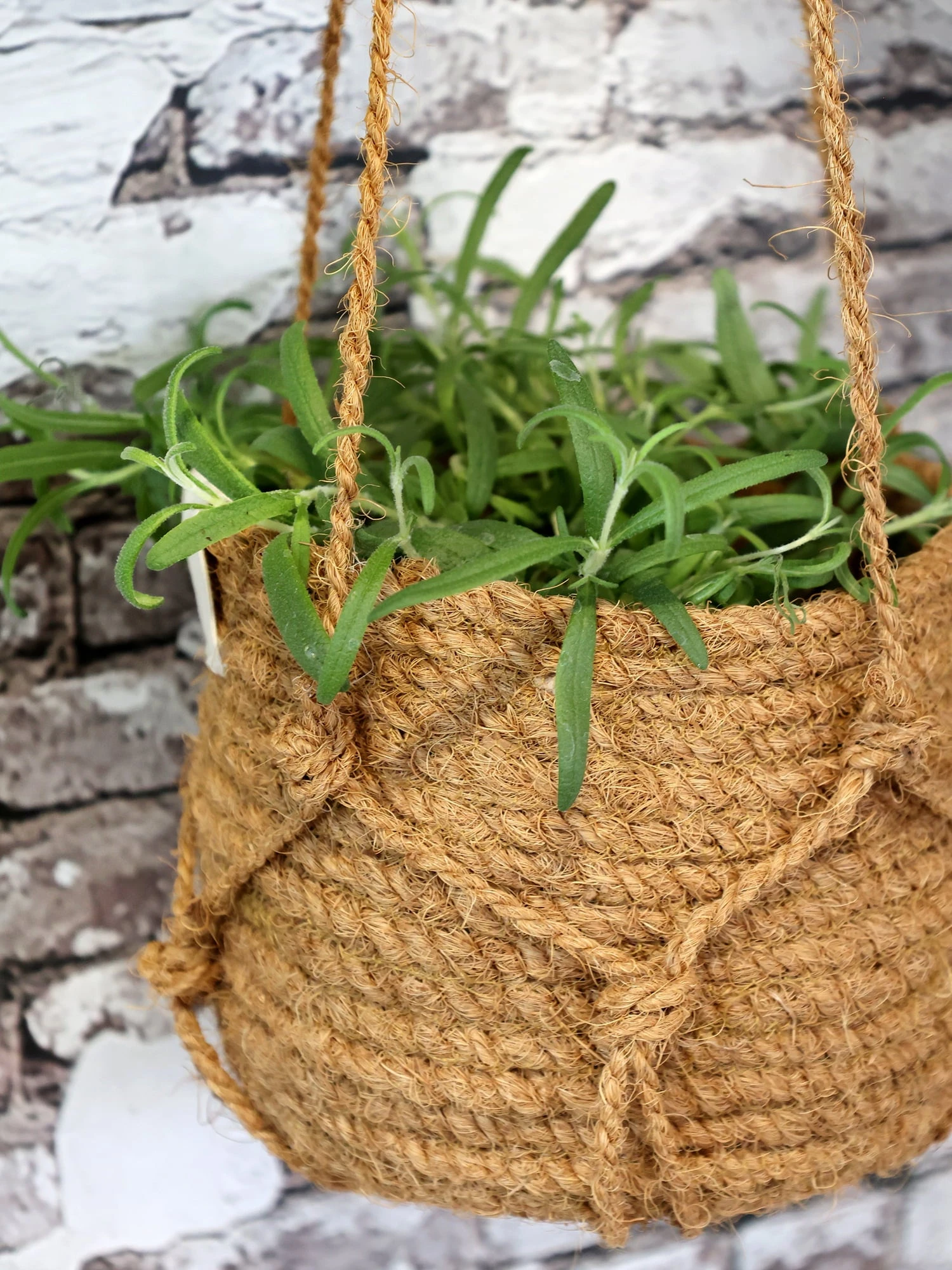 Blumenampel Korb Natur, H14/D18 Cm â Bild 5