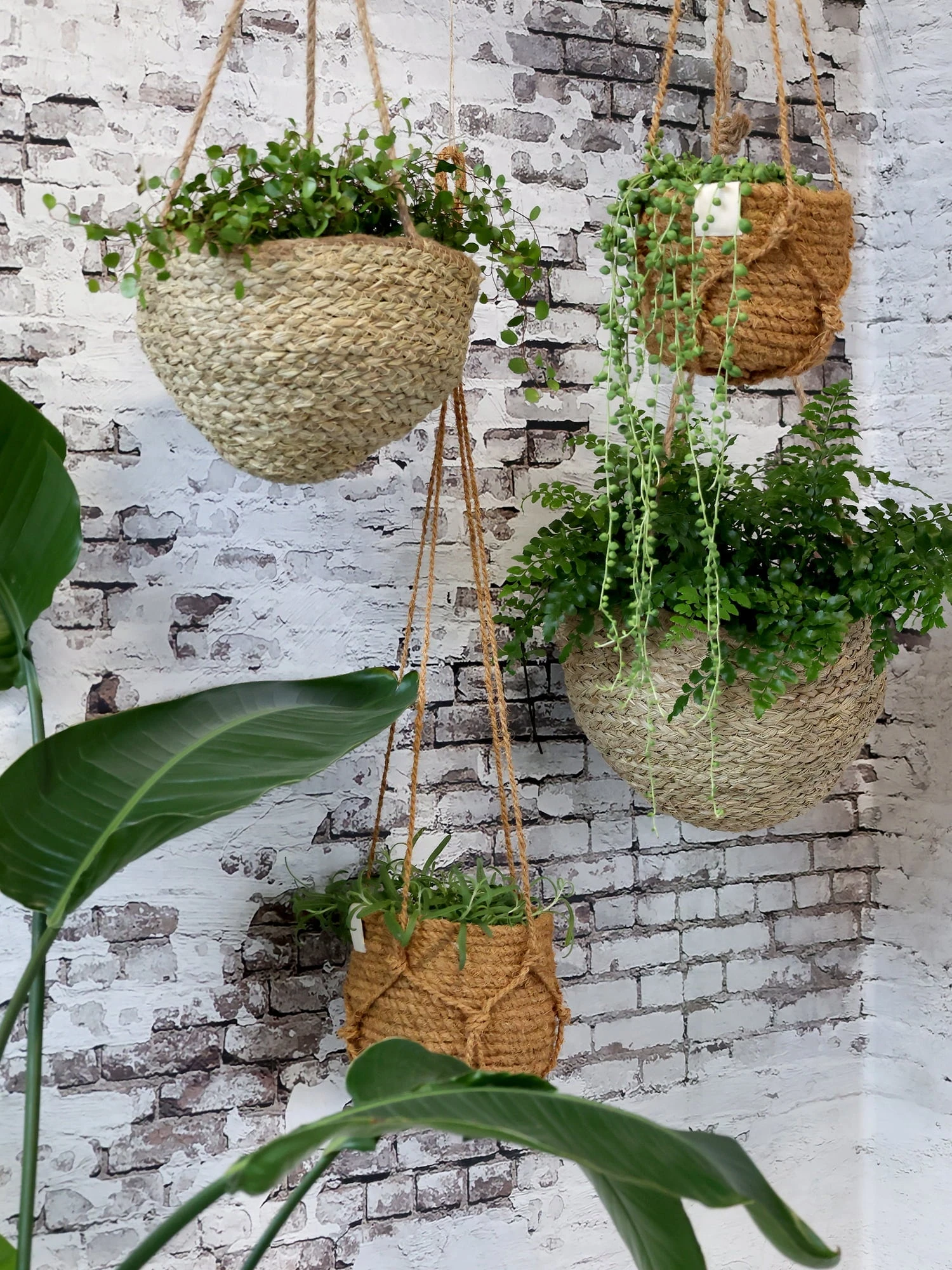 Blumenampel Korb Natur, H14/D18 Cm â Bild 6