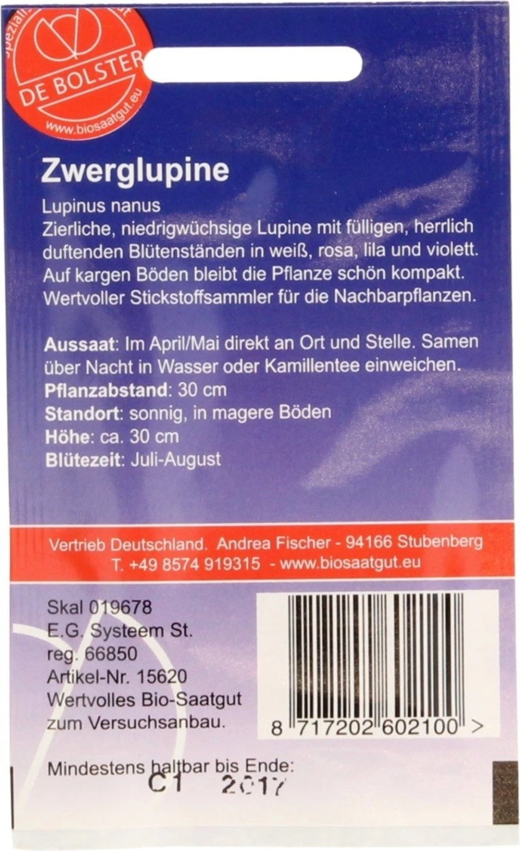 Zwerglupine, 2 G – Bild 2