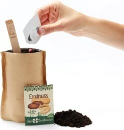 Minigarten "Erdnuss"