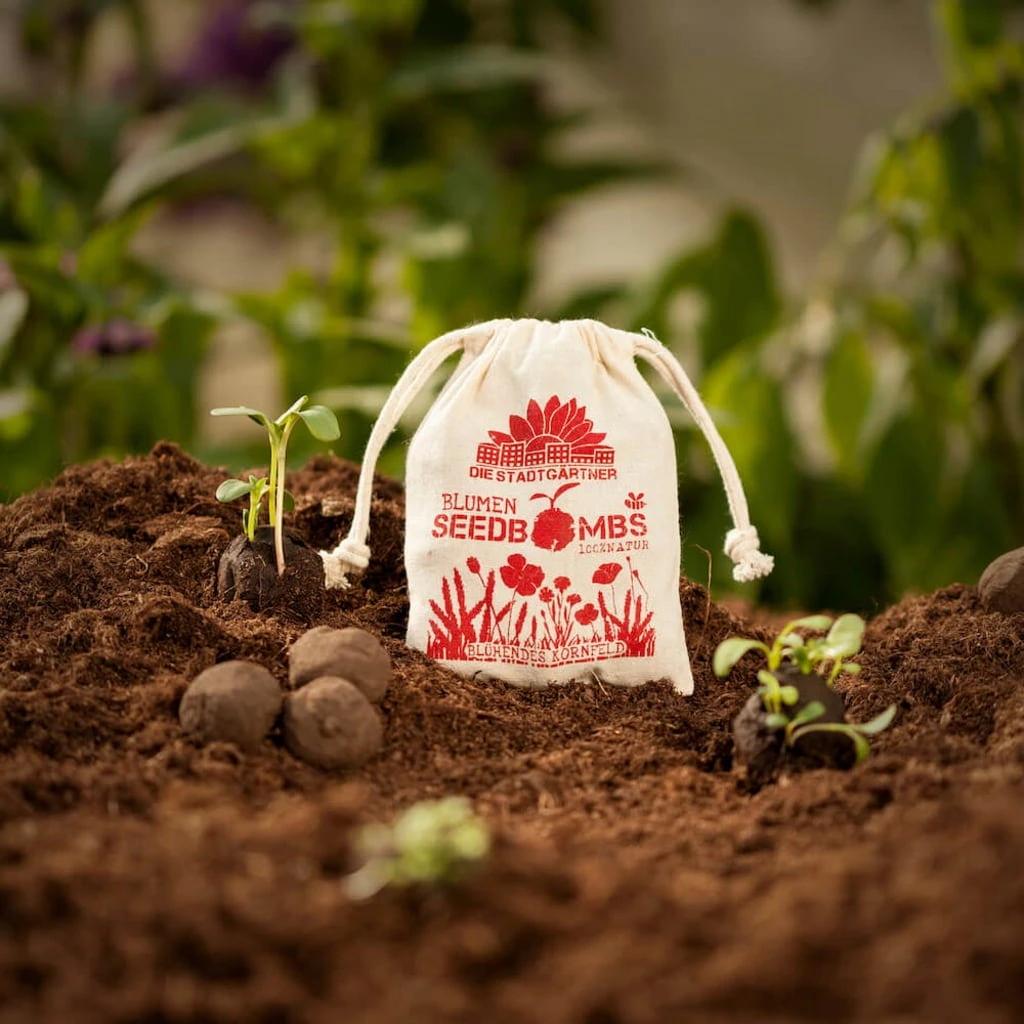 Samenbomben "Blühendes Kornfeld", 8 Stück – Bild 3