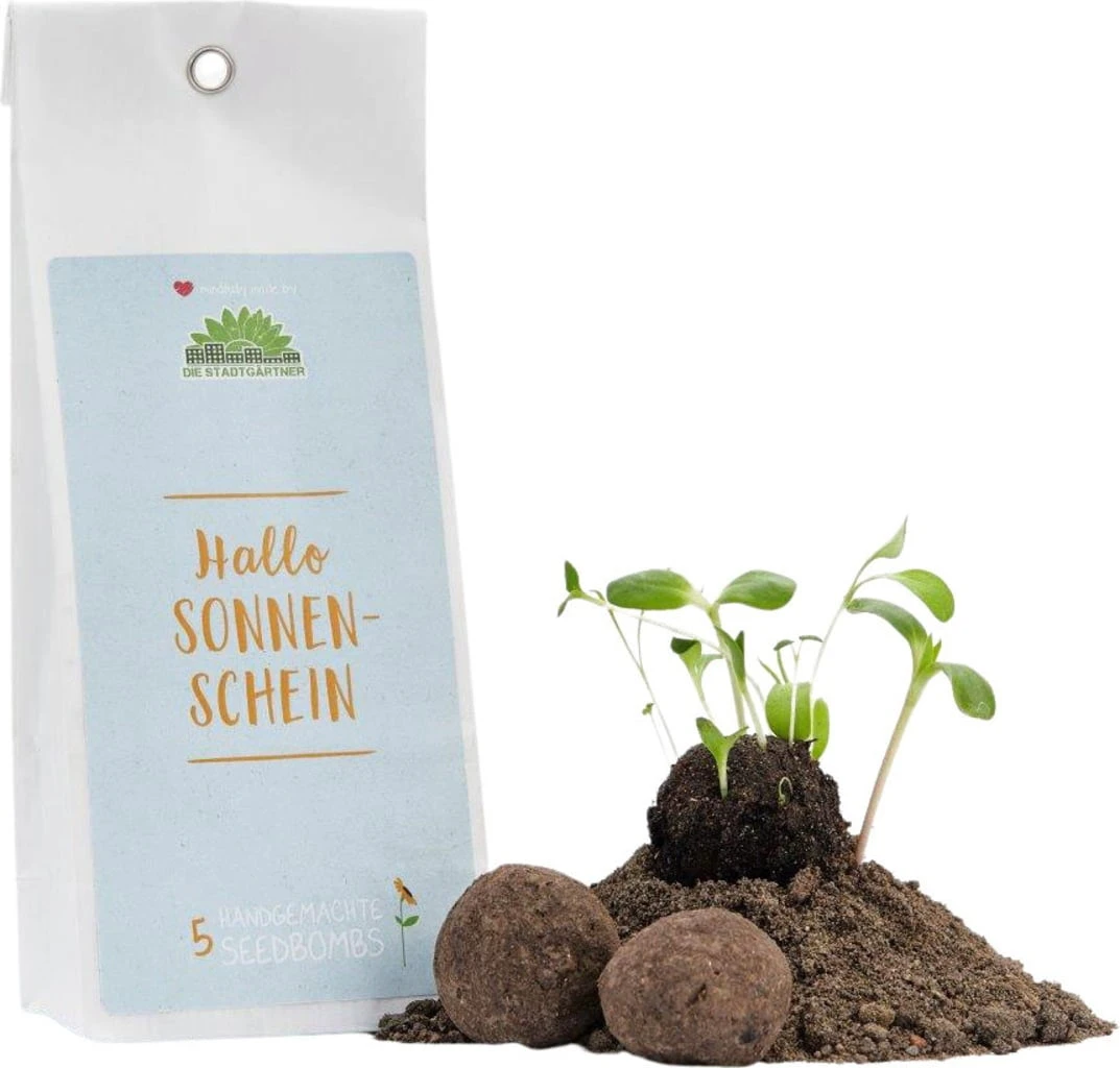 Samenbomben "Hallo Sonnenschein" – Bild 3