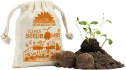 Samenbomben "Topfbälle"