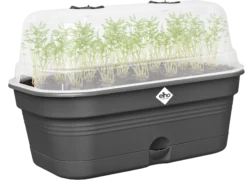 Elho Anzuchtschalen-Set Green Basics Allin1 - L, Living Schwarz