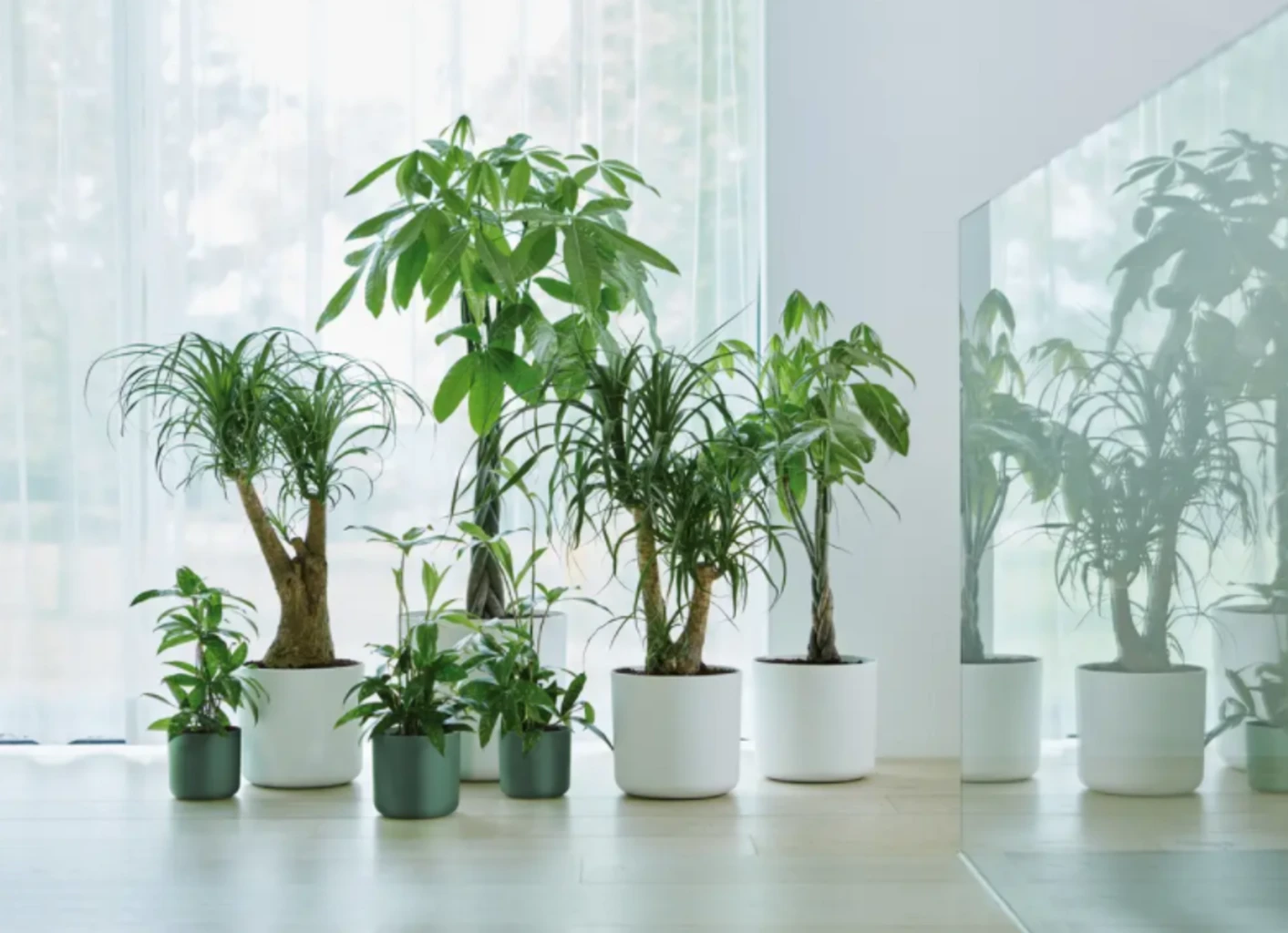 Elho B.for Soft Rund Laubgrün, Ø 18 Cm – Bild 4