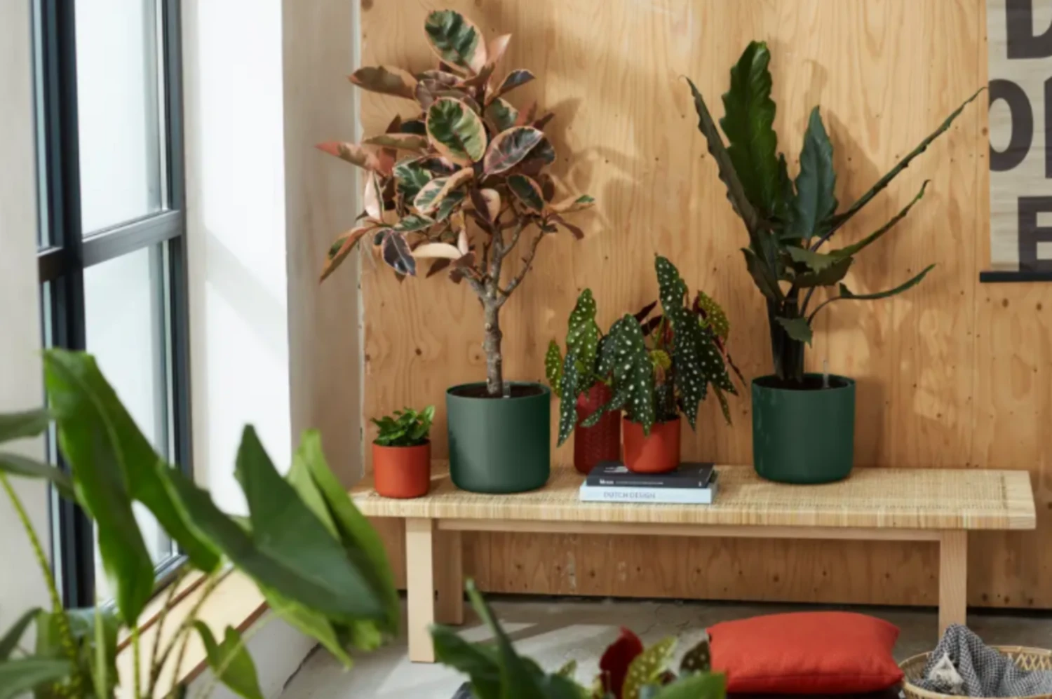 Elho B.for Soft Rund Laubgrün, Ø 18 Cm