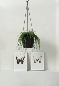 Elho Brussels Hängeampel "18cm", Anthrazit