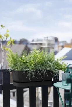 Elho Greenville Easy Balcony 52 Cm, Living Schwarz