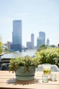 Elho Greenville Schale 33 Cm, Laubgrün