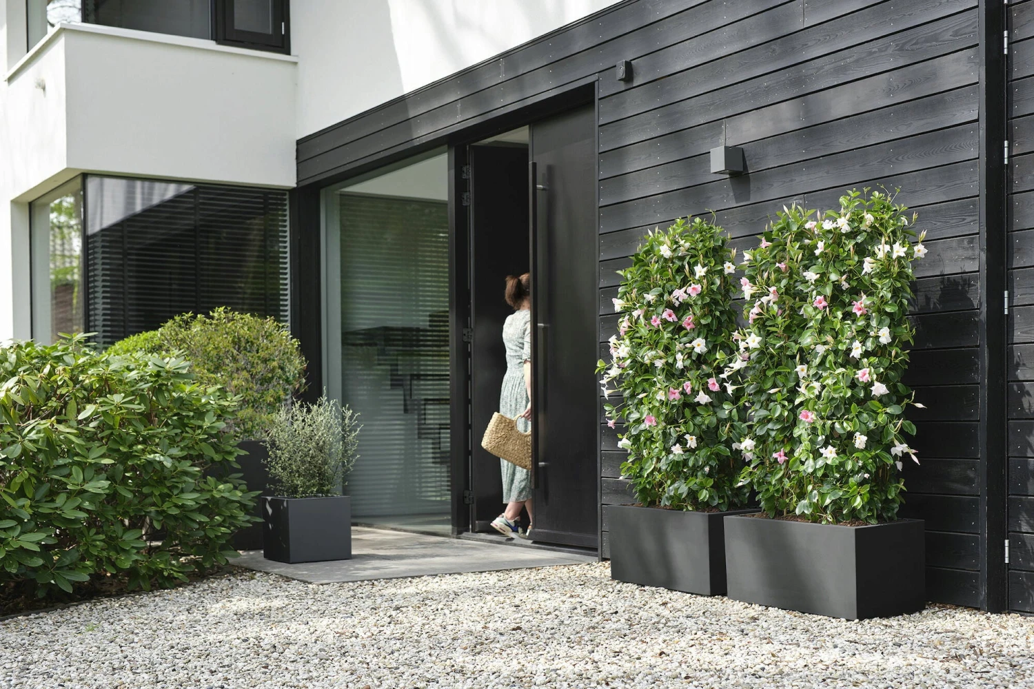 Elho Pflanzkasten Vivo Next Lang - 60 Cm, Living Schwarz – Bild 9