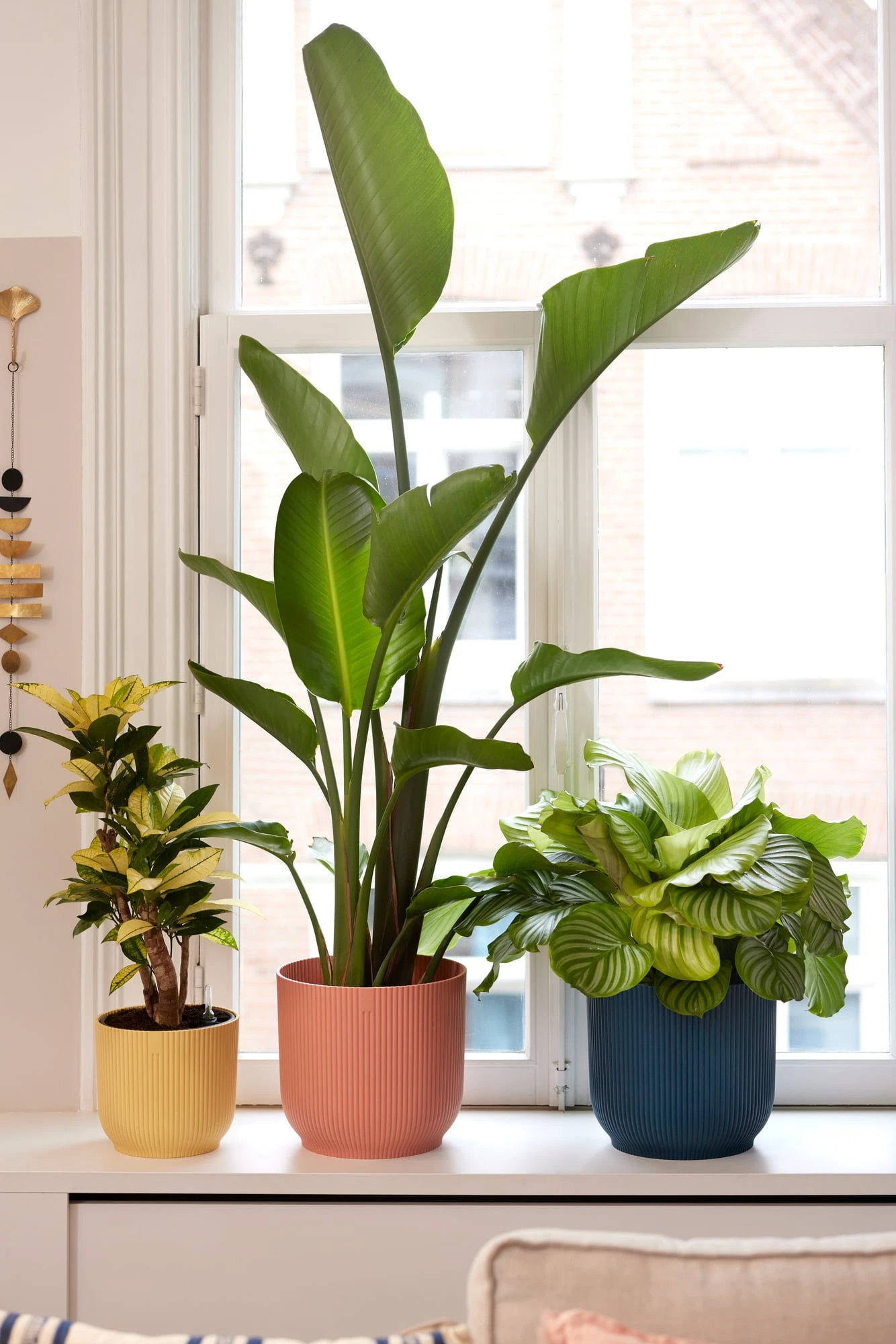 Elho Vibes Fold Rund 30 Cm, Seidenweiß – Bild 9