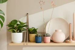 Elho Vibes Fold Rund Mini 11 Cm, Seidenweiß