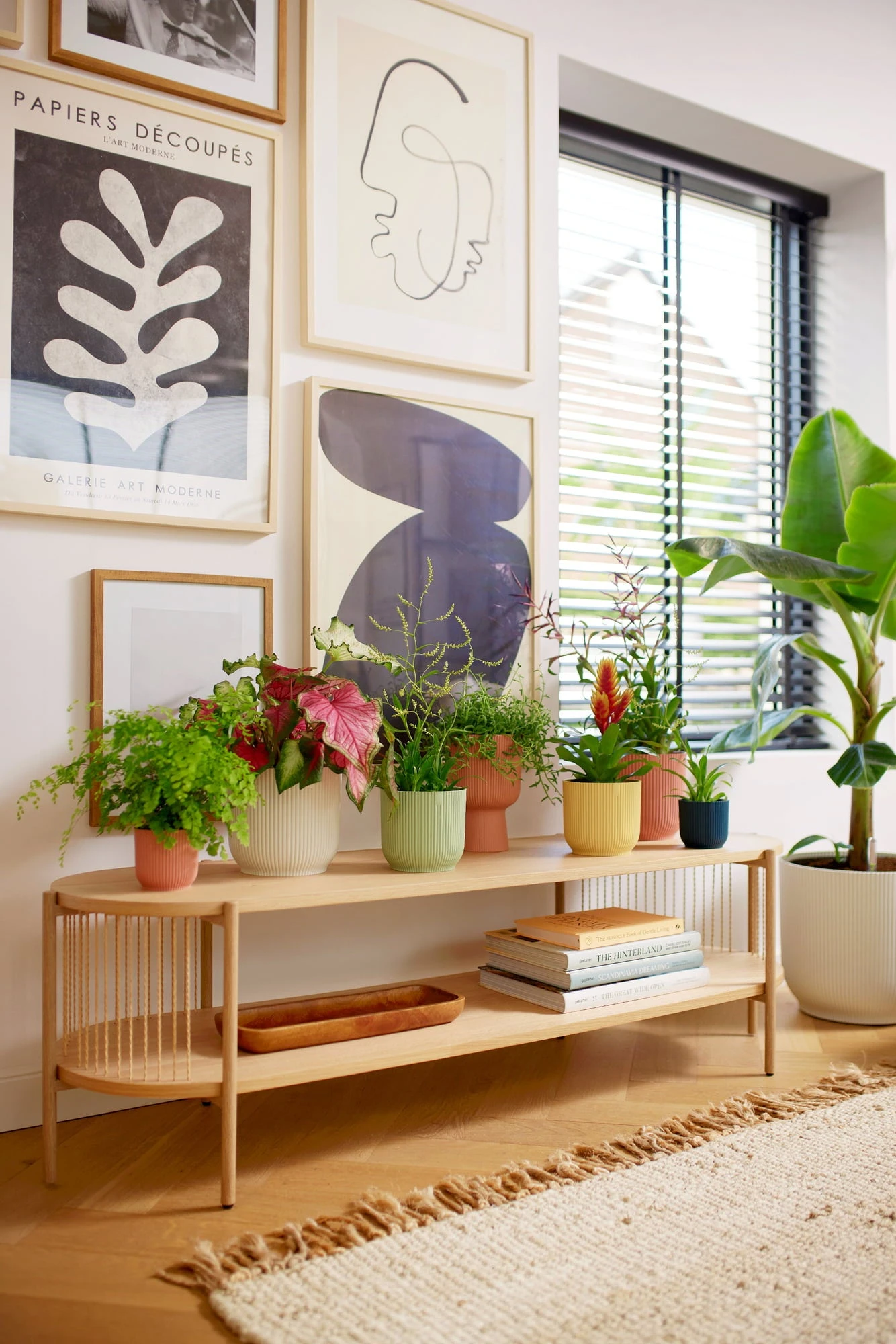 Elho Vibes Fold Rund Mit Rollen 35 Cm, Seidenweiß – Bild 3