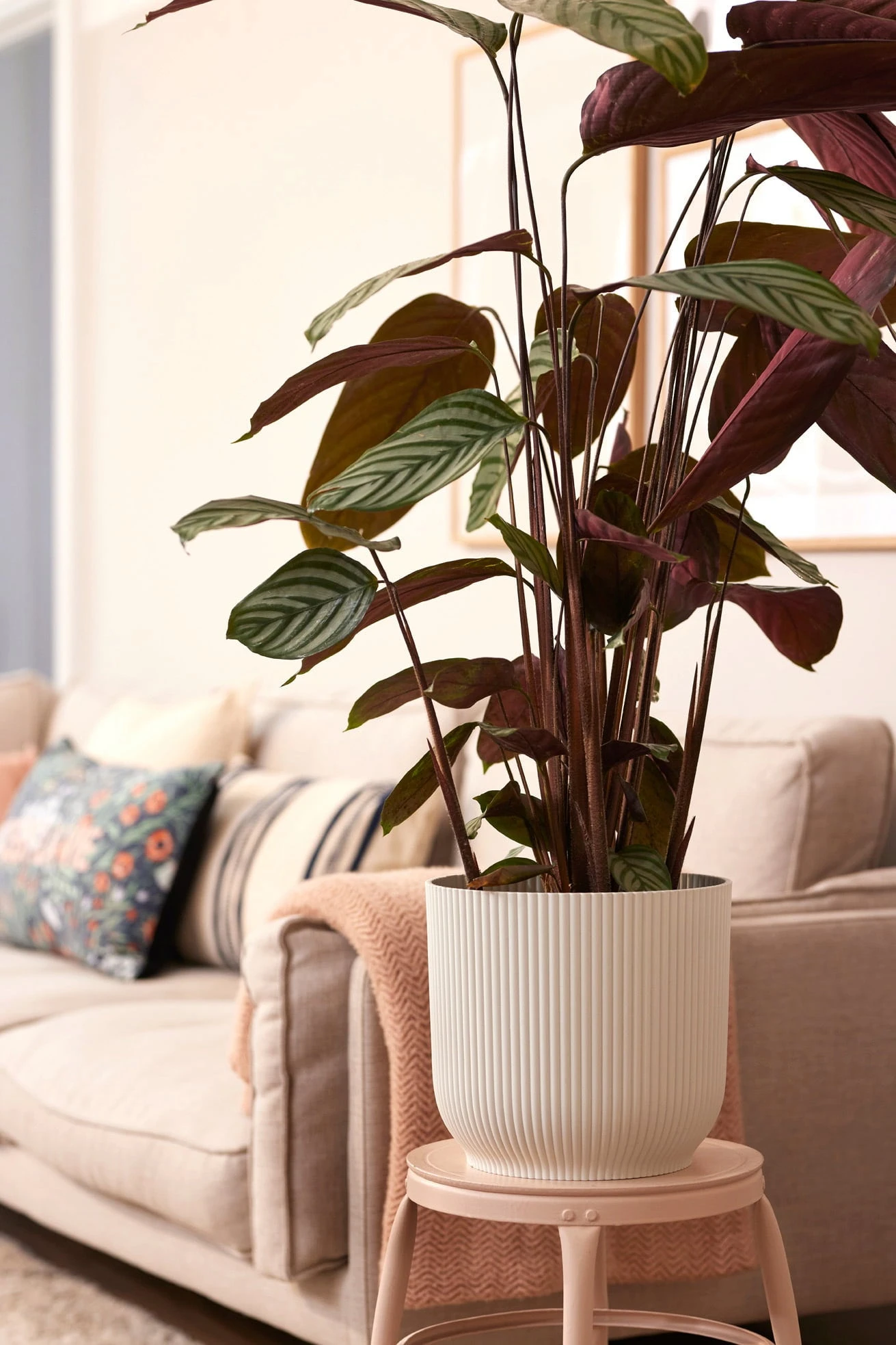 Elho Vibes Fold Rund Mit Rollen 35 Cm, Seidenweiß – Bild 9