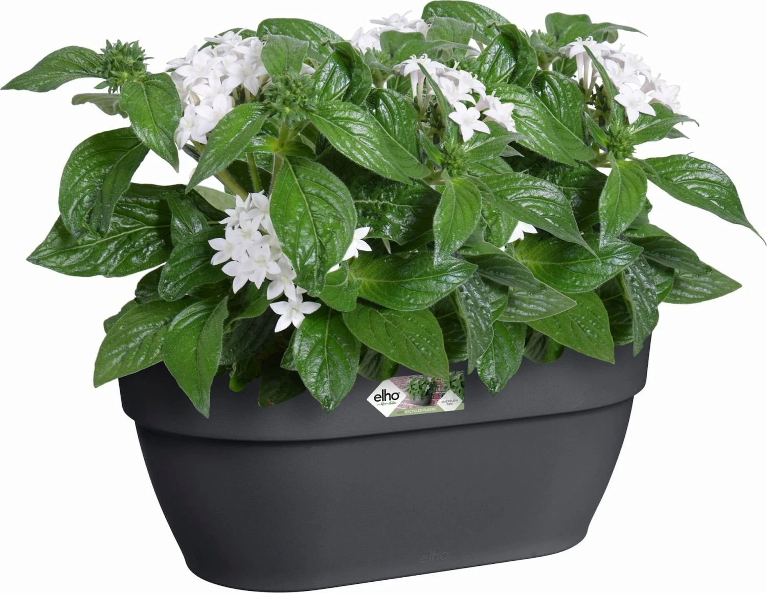 Elho Vibia Campana Wandampel 35 Cm, Anthrazit â Bild 2