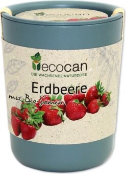 Ecocan "Erdbeere", Erdbeere