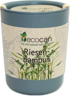 Ecocan "Exotics", Riesenbambus