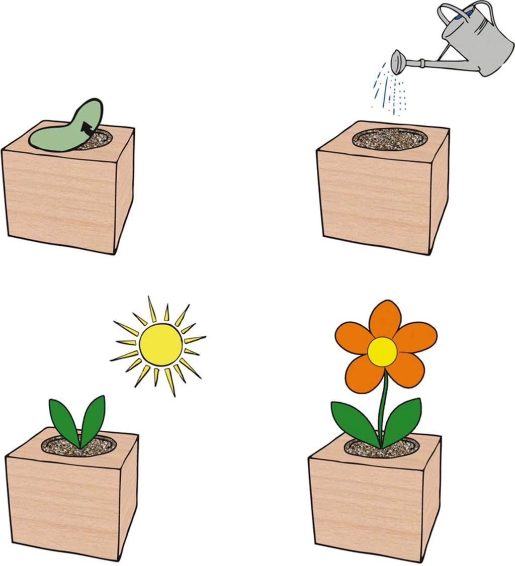 Ecocube "Edelweiß", Swiss-Edelweiß – Bild 2