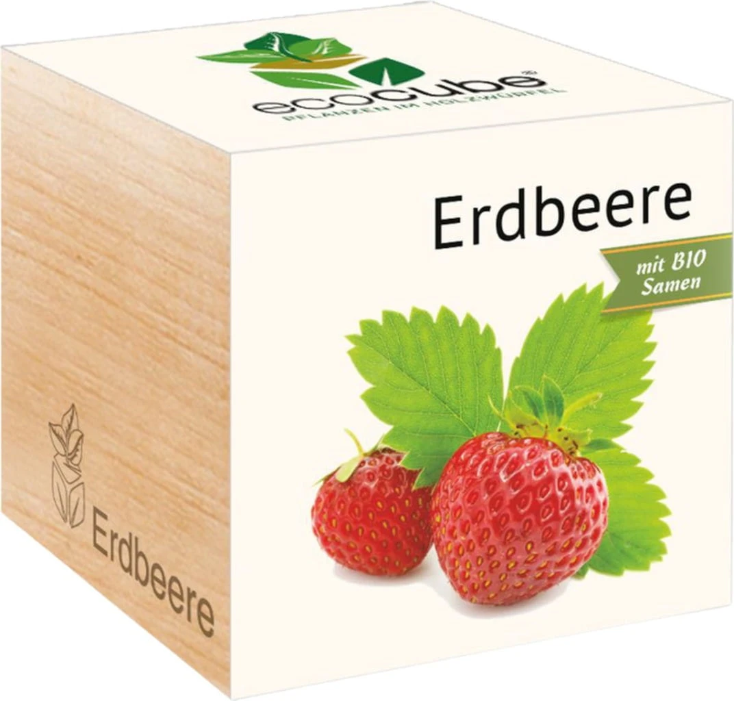 Ecocube "Erdbeere", Erdbeere