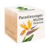 Ecocube "Paradiesvogelblume"