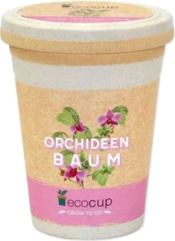 Ecocup "Orchideenbaum"