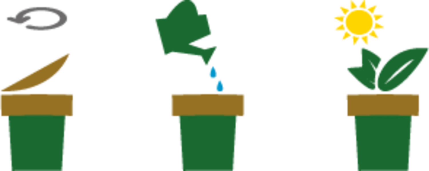 Ecocup "Palme" – Bild 4