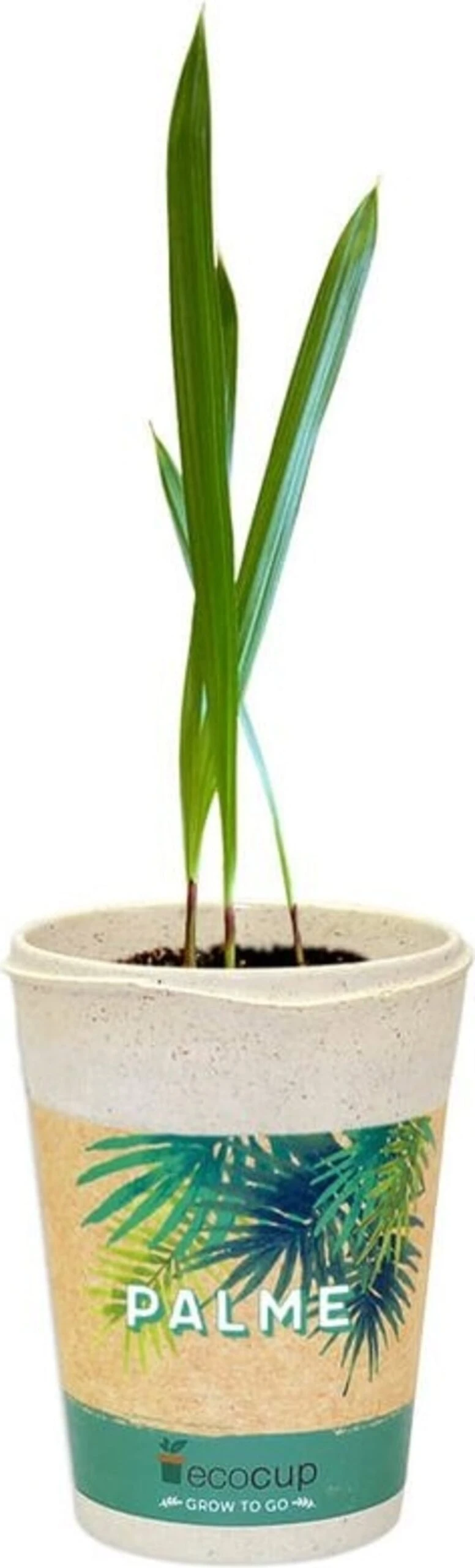 Ecocup "Palme"