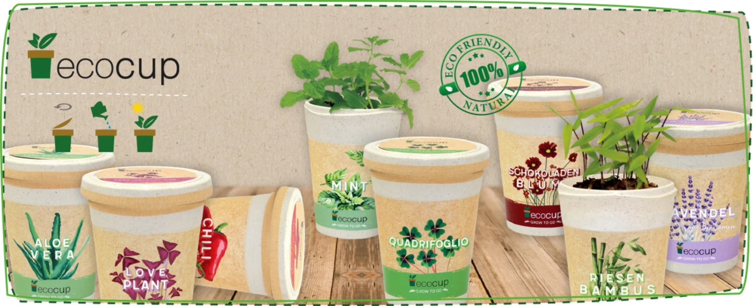 Ecocup "Palme" – Bild 2