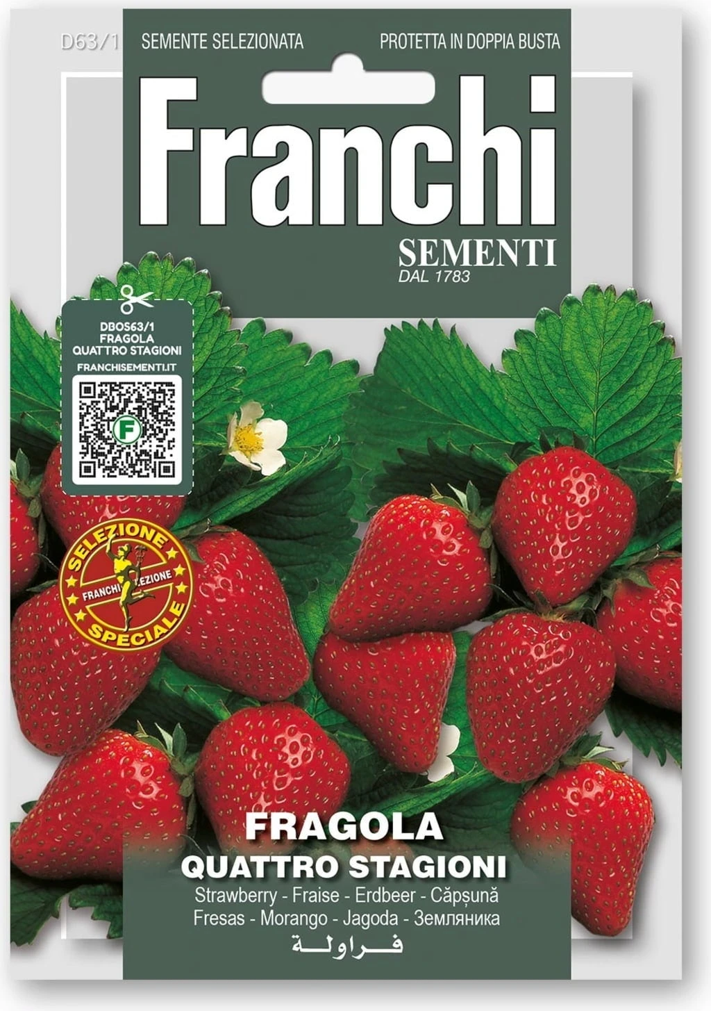 Erdbeeeren "Quattro Stagioni" – Bild 2