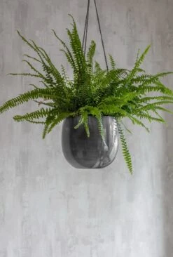 Farringdon Blumenampel, 20 Cm