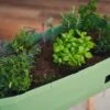 Sammy Salad Hochbeet - Ohne Haube, Dunkelgrün