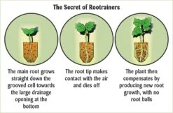 Anzuchtschale "Rapid Rootrainers"