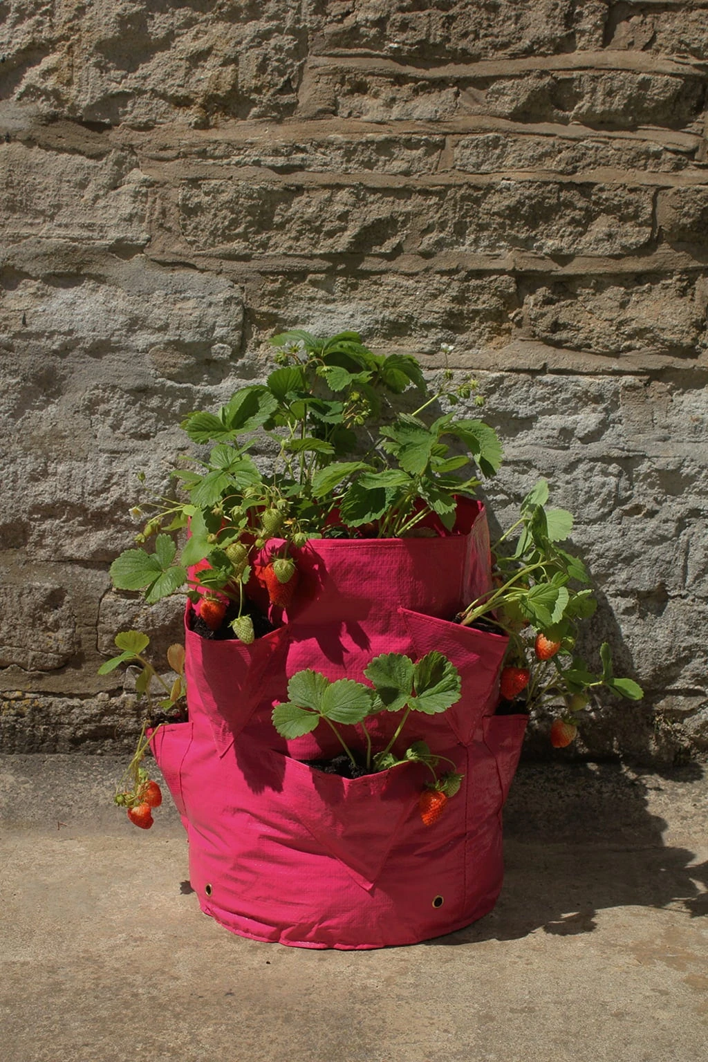 Erdbeer- & Kräuterpflanztasche Im Set, 2 Stück – Bild 2