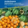 Andenbeere
