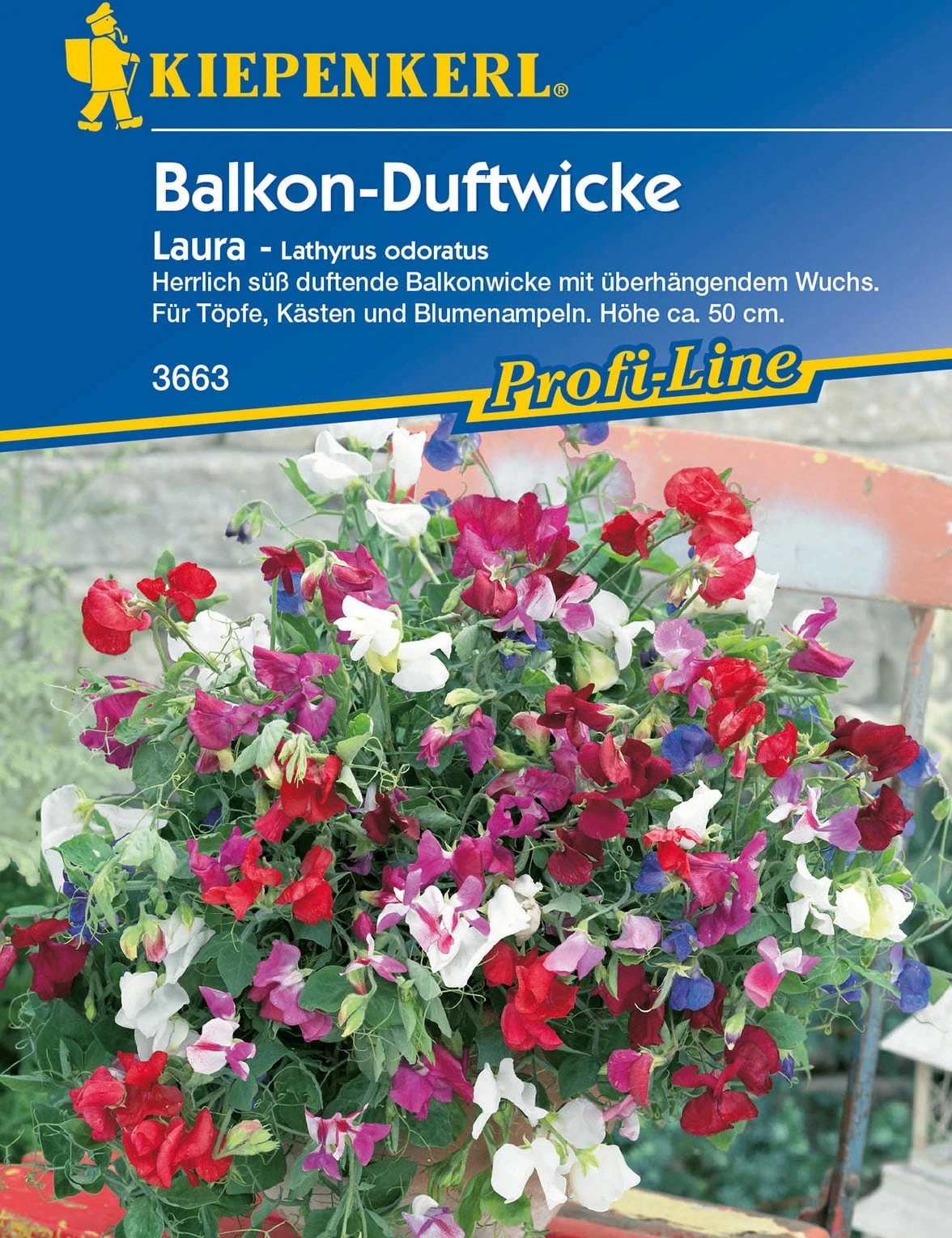 Balkon-Wicken "Laura" – Bild 2