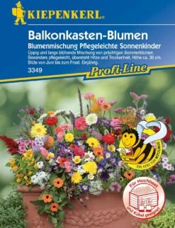 Balkonkasten-Blumenmischung "Pflegeleichte Sonnenkinder"