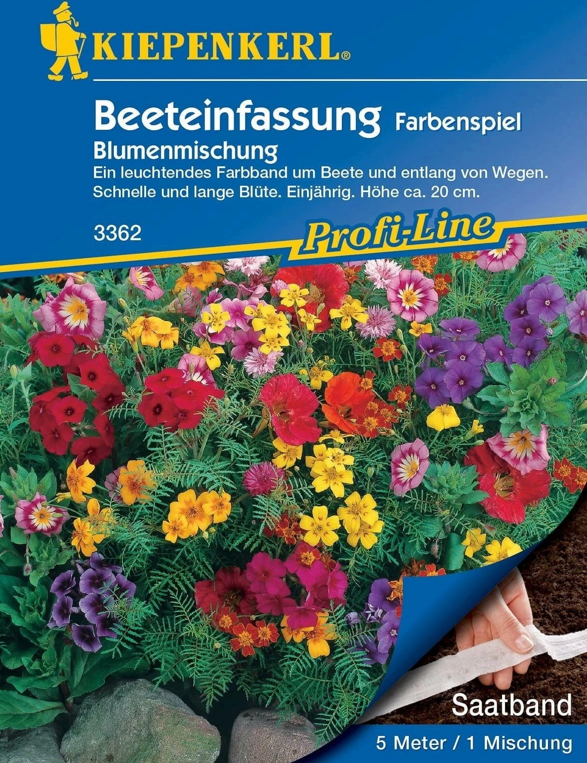 Beeteinfassung "Farbenspiel" - Saatband – Bild 2