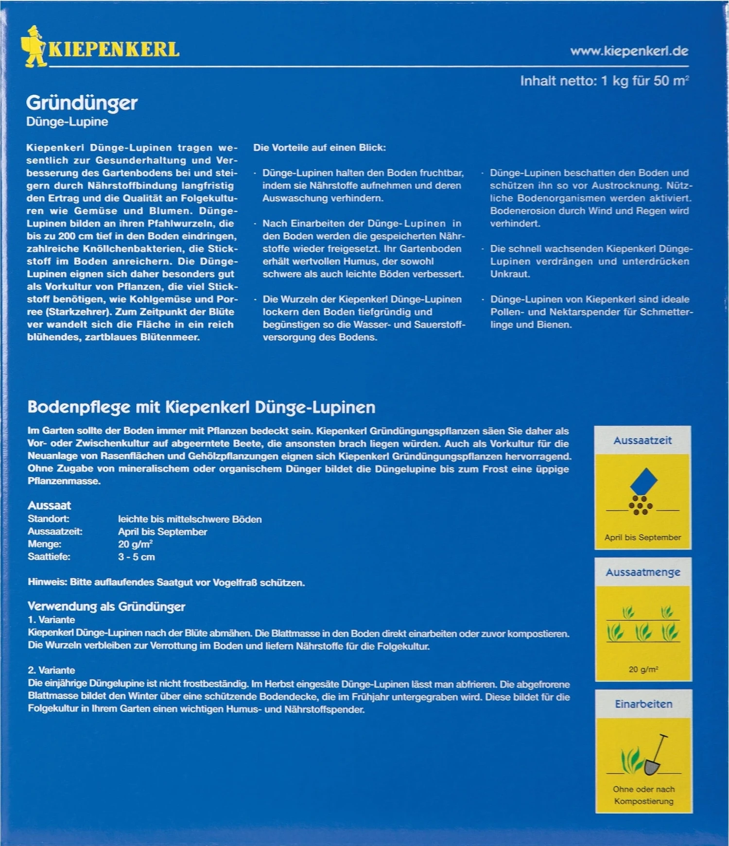 Dünge-Lupine, 1 Kg – Bild 2