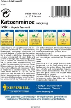 Katzenminze "Felix"
