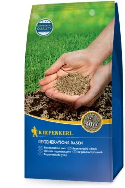 Regenerations-Rasen "Verino", 1 Kg
